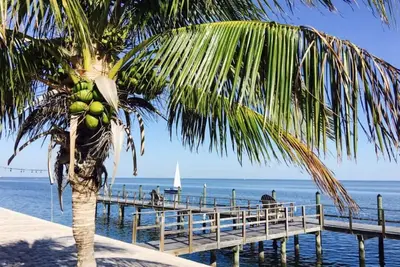 Image de Vue panoramique sur la baie, admirez les couchers de soleil et les dauphins, patio privé tropical