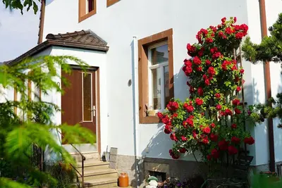 Image de petite oasis à Radebeul (pour 4 personnes)