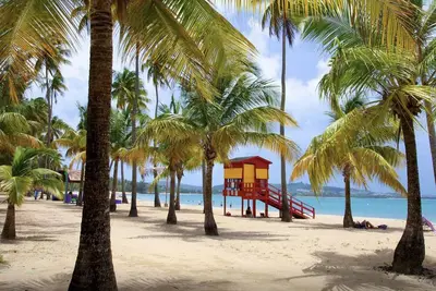 Image de ♡ Escapade spacieuse et agréable Accueil | Rainforest | Volleyball, Badminton, Football
