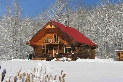 Image de Rustic Log Home, étang et ruisseau, proximité d'une remontée de l'Aigle, Grands Prix