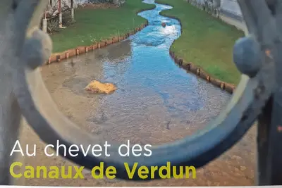 Image de plain-pied coeur de Verdun