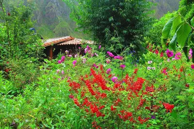 Image de Belle maison de campagne dans un jardin isolé