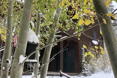 Image de Nouvelle inscription - Madge’s Studio - Pets Welcome