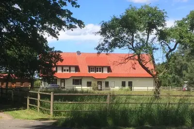 Image de Détente au milieu de la lande de Lunebourg - Ferienhaus Schaepe
