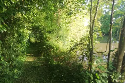 Image de Une maison dans un parc naturel à l'énergie solaire
