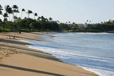 Image de 99 $ / Vente de nuit: entrez les dates. Rez-de-chaussée. Commentaires semi-privés, lanai complet