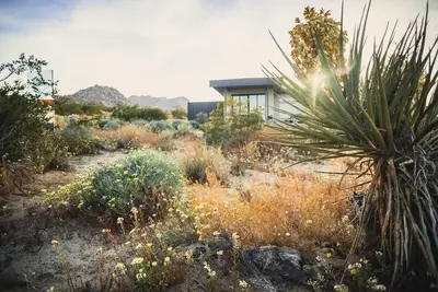 Image de Onyx Joshua Tree moderne
