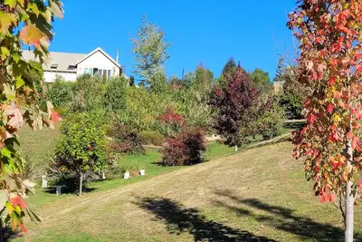 Image de Retraite rurale Redwood Lodge avec une vue superbe