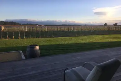 Image de Une vue imprenable sur les Tararuas à côté d'un vignoble avec des vues lointaines de la vigne