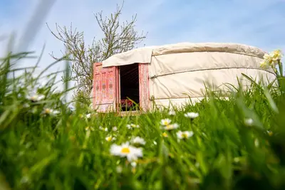 Image de Yourte à la ferme avec appartement privé