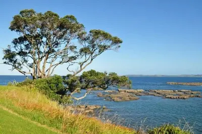 Image de Détendez-vous dans cette retraite Matheson Bay. .