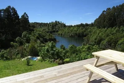 Image de Bord du lac sur Rotoehu - cadre de brousse magnifique