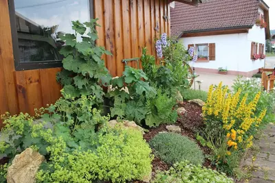 Image de Appartement, idéal pour les familles avec enfants, près de Schluchsee
