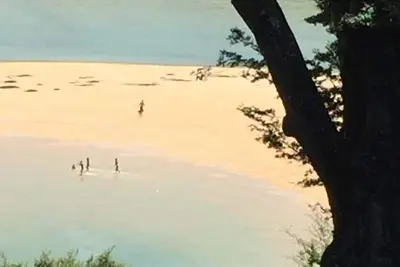 Image de Confidentialité absolue entre petits et grands Kaiteriteri