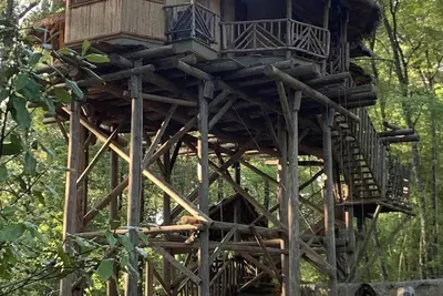Image de Tropical Treehouse entouré de jardins de la jungle