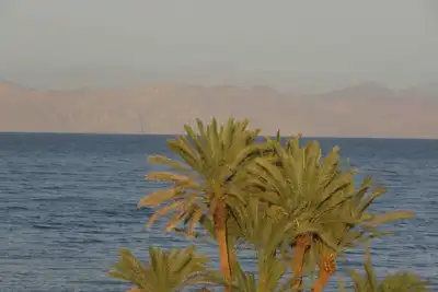 Dahab Studio Appartments Sea View!