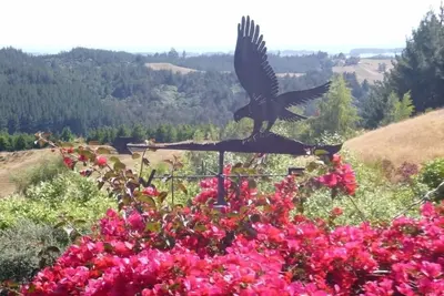 Image de Le Ridge Hawk - Redwood Valley