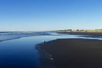 Image de Ponderosa - Waitarere Beach Bach