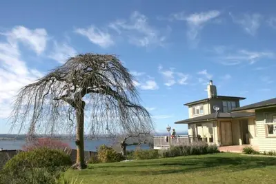 Image de Nid de corbeaux de la baie d'Acacia