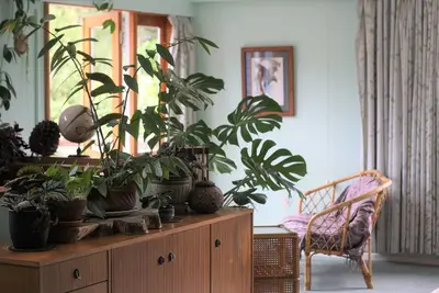 Image de Maison familiale lumineuse, ensoleillée et tranquille