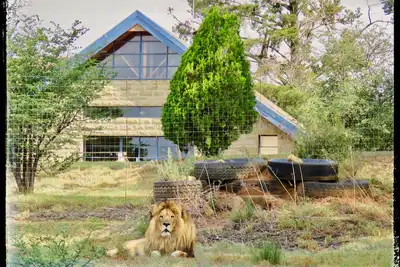 Lion Lodge @ggconservation