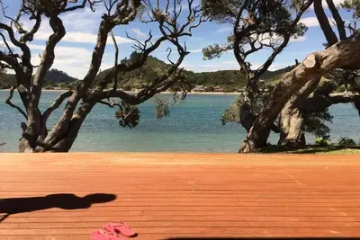 Image de Pataua North Sur la plage