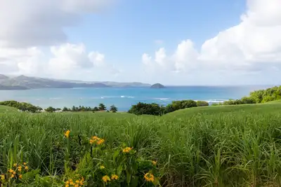 Image de Eclats de Mer, 3 Bungalows Pieds dans l'Eau à Tartane\/Location de Voitures Wifi