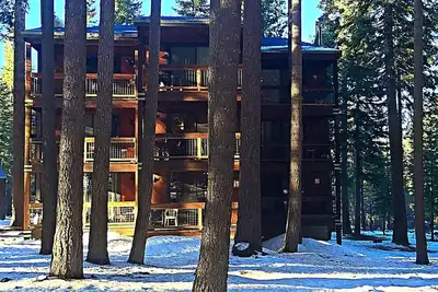 Image de Magnifique condo dans une forêt paisible - Animaux acceptés, promenade rapide jusqu'au village