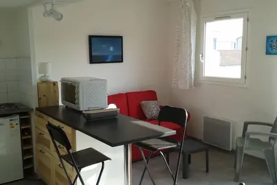 Image de Duplex Tout Pres Du Grand Canal Et De Ses Joutes Meridionales.