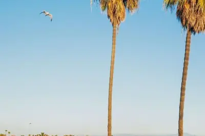 Image de vue sur l'océan, à 10 pas de la plage près de Disneyland