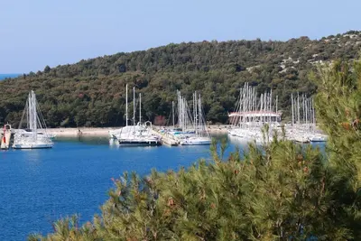 Image de Apartments Anita i Visnja