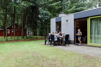 Image de Bungalow joliment meublé avec cheminée dans la Veluwe