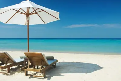 Image de Emplacement idéal Siesta Key
