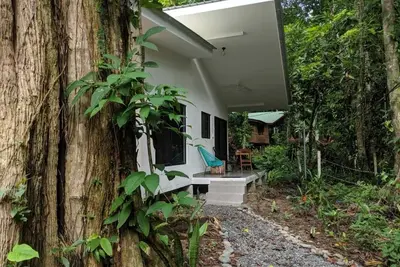Image de Studio paisible, privé et moderne dans la jungle