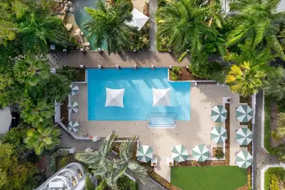 Image de 54 Alamanda