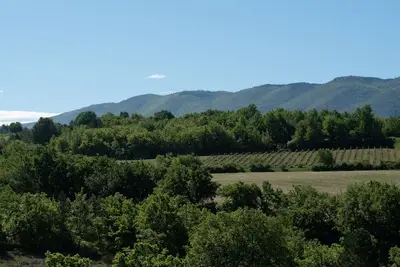 Image de Vacances Ă Caseneuve dans un domaine viticole