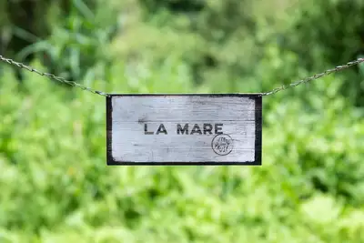Image de La mare l'étang d'une pause nuits insolites