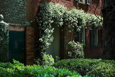 Image de Maison historique de Tattnall avec jardin luxuriant - Animaux acceptés!