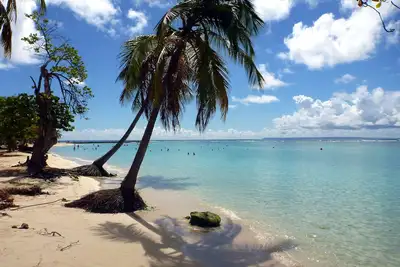 Image de Charmant duplex au cœur de Sainte-Anne à deux pas de la plage Le Lagon d'Anolis