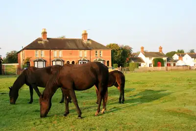 Image de Waterley, Brockenhurst