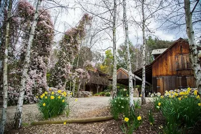 Image de Lothlorien Une retraite de luxe romantique au coeur du haut pays