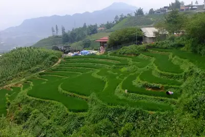 Image de Rosie House Sapa Lao