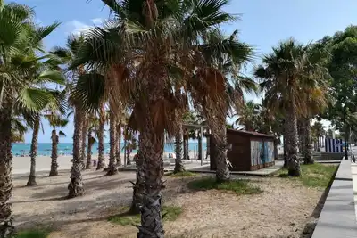 Image de Appartement de plage spacieux en deuxième ligne