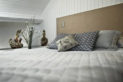 Image de Duplex au dernier étage ensoleillé dans le quartier européen