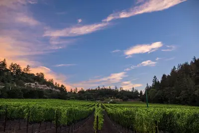 Image de Calistoga Vineyard Home avec vue à 360 degrés
