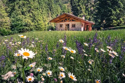 Image de Baita Valon - Alpine Hideaway