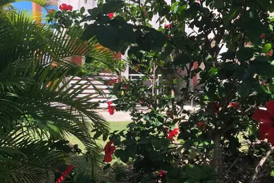 Image de Au calme dans un joli appartement tout confort