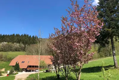 Image de Langmichelhof - Appartement 32m², 1 salon / chambre à coucher