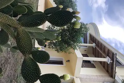 Aromia Corfu In Corfu L'appartement est situé dans une villa dans le quartier de Paliο