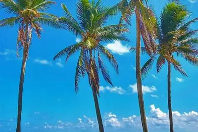 Image de À quelques pas de la plage une chambre -